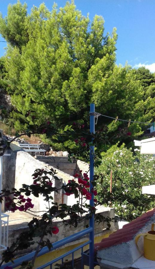 Studio With Magic View Podgora Exterior photo